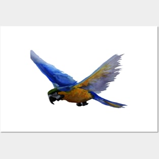 Parrot In Flight Posters and Art